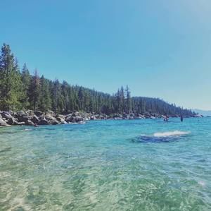 Meet your Posher, Edwin